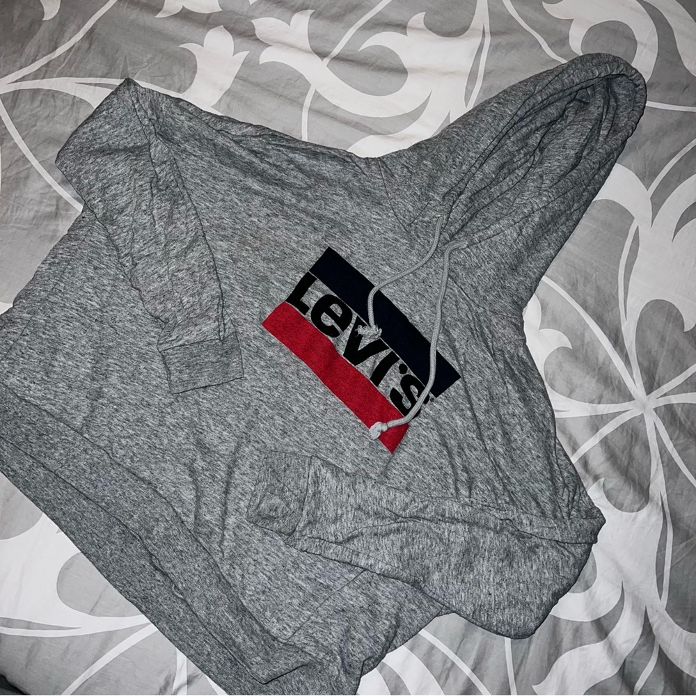 Cropped Levi Hoodie
